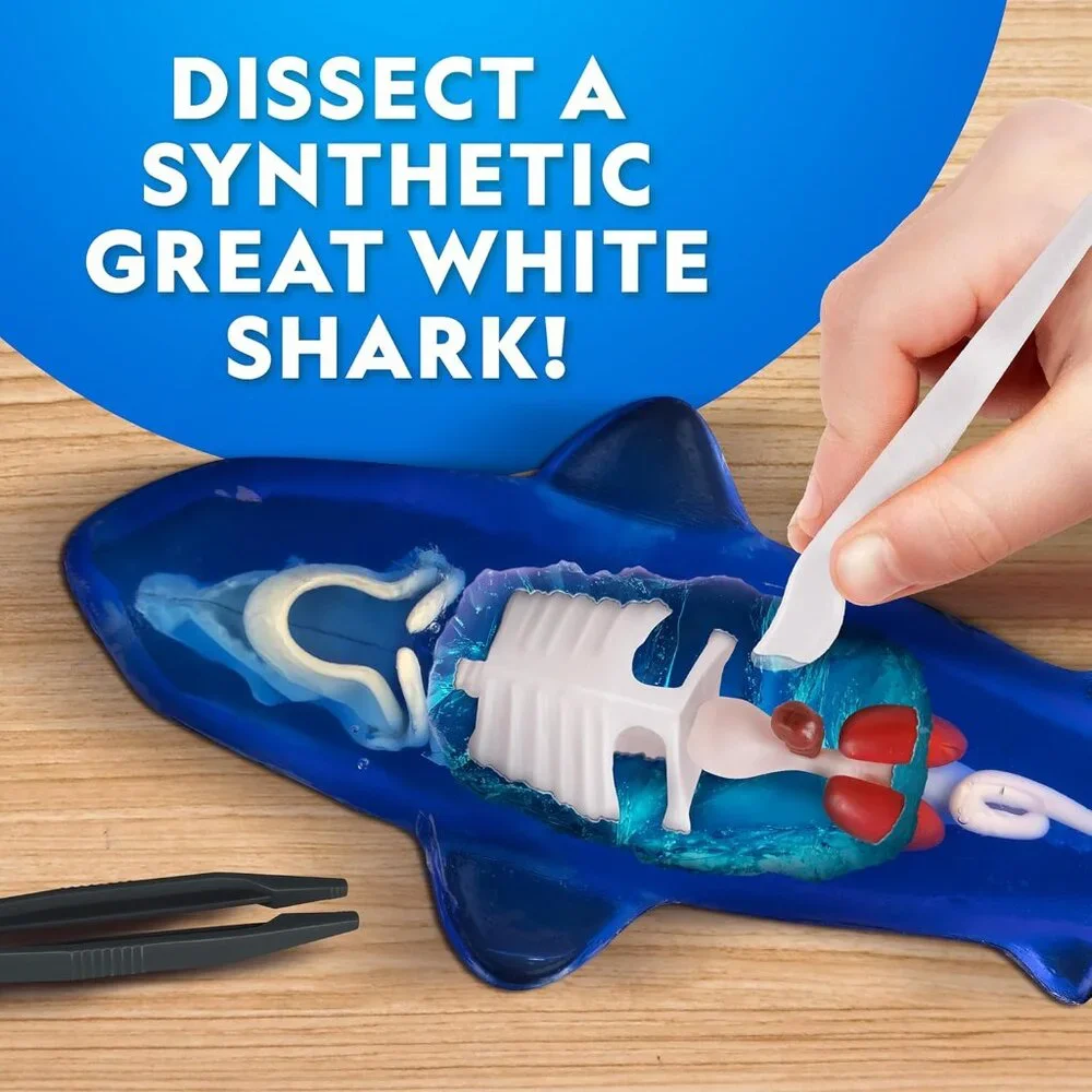 National Geographic Shark Dissection Kit Glow in The Dark Great White Shark Anat